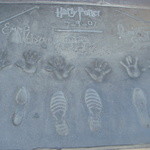 Palms Thai Restaurant - 