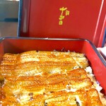 300793667 - ツヤツヤです❤️