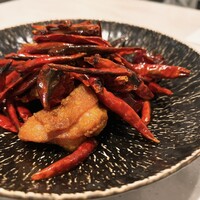 CINA New Modern Chinese - 