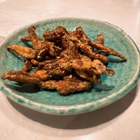 CINA New Modern Chinese - 