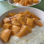 300803193 - マンゴーかき氷