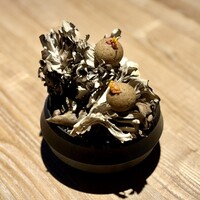 レスピラシオン - 