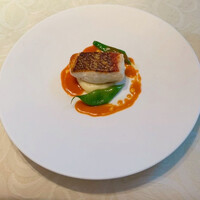 tcc GINZA - 