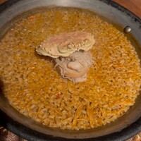 Potoro - 