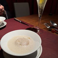Potoro - 