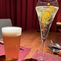Potoro - 