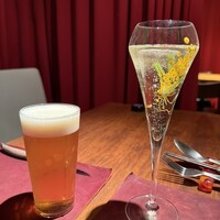 Potoro - 