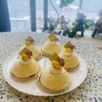 cafe The Plant Room - アナナス.ココ　ココナッツムースの中にパインとライムのジュレが入っています。　夏限定ケーキです。