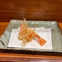 天冨良 よこ田 - 