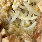 ラーメン専門 宮の森 - さらにアップ