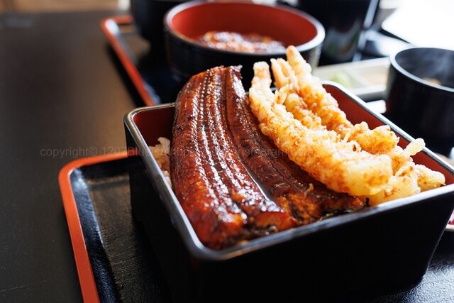 うなさま うな政 DX店 - ジヤトコ前（ジヤトコ1地区前）/うなぎ | 食べログ