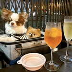 スパニッシュイタリアン ロジカ - 