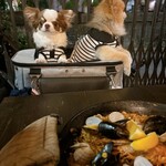 スパニッシュイタリアン ロジカ - 