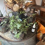 ニモ アルカモ - 