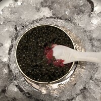好信楽 西中洲 - 