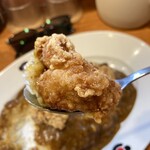 日乃屋カレー - 