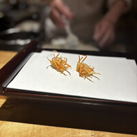 天七 - 