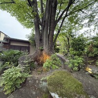 千薫庵 - 