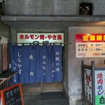 白樺 - 