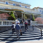 THE CARRINGTON HOTEL - 