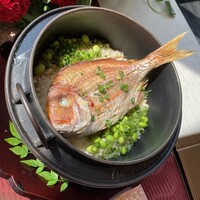 新宿 星のなる木 - 