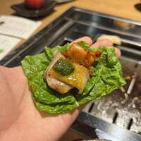 とり料理 鳥者 - 