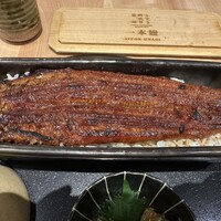 うなぎ四代目菊川 東京駅黒塀横丁店 - 