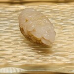 髙橋 謙太郎 - 白エビ