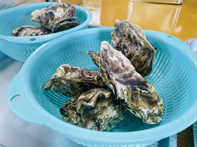 とまこまい海の駅 ほっき館 - 苫小牧（その他）の写真