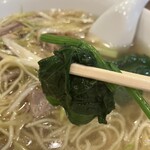 紅蘭 - 見た目鮮やかほうれん草