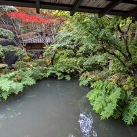 うかい鳥山 - 