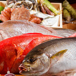 鮨 はま岡 - 鮮魚イメージ