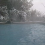 湯宿小国のオーベルジュ わいた館 - 竹林の湯