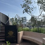 Eriko Osawa Earthly Gelato - 