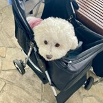 サザンビーチカフェ - 