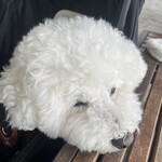 サザンビーチカフェ - 