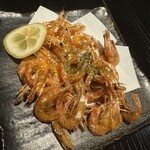 島の猿 - 