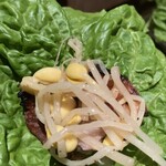 本格焼肉チファジャ - 