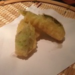 ドラゴンフルーツの新芽