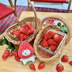 グリナリウム淡路島 - 