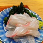 旬彩 鯛樹
