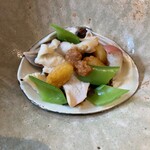 サカナノウタ - 