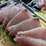 サカナノウタ - 