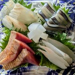 サカナノウタ - 