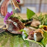 300944354 - ほうぼうってこういうお顔してたんですね(ﾉ∇≦*)