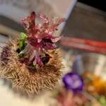 創作四川料理 廣明 - うに殻サラダ