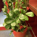 又一村水餃麵食館 - 