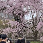 デザートカフェ長楽館 - 