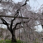 デザートカフェ長楽館 - 