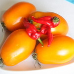 LA VERITA - カウンターには様々な食材が並ぶ。若狭の新鮮食材を最大限に活かした若狭人（わかさびと）の創作イタリア料理が楽しめる♪